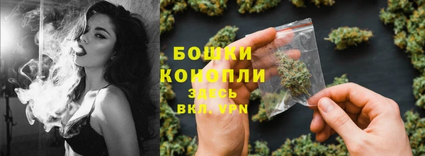 шишки Алзамай