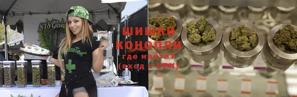 шишки Алзамай