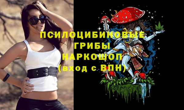 шишки Алзамай